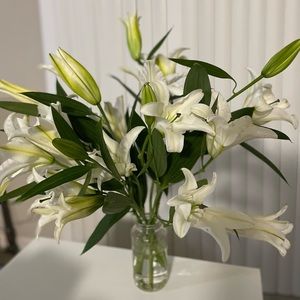 Meet your Posher, Xiao